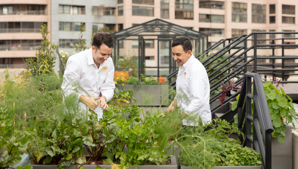 Inauguran el primer Huerto Sustentable en altura del país