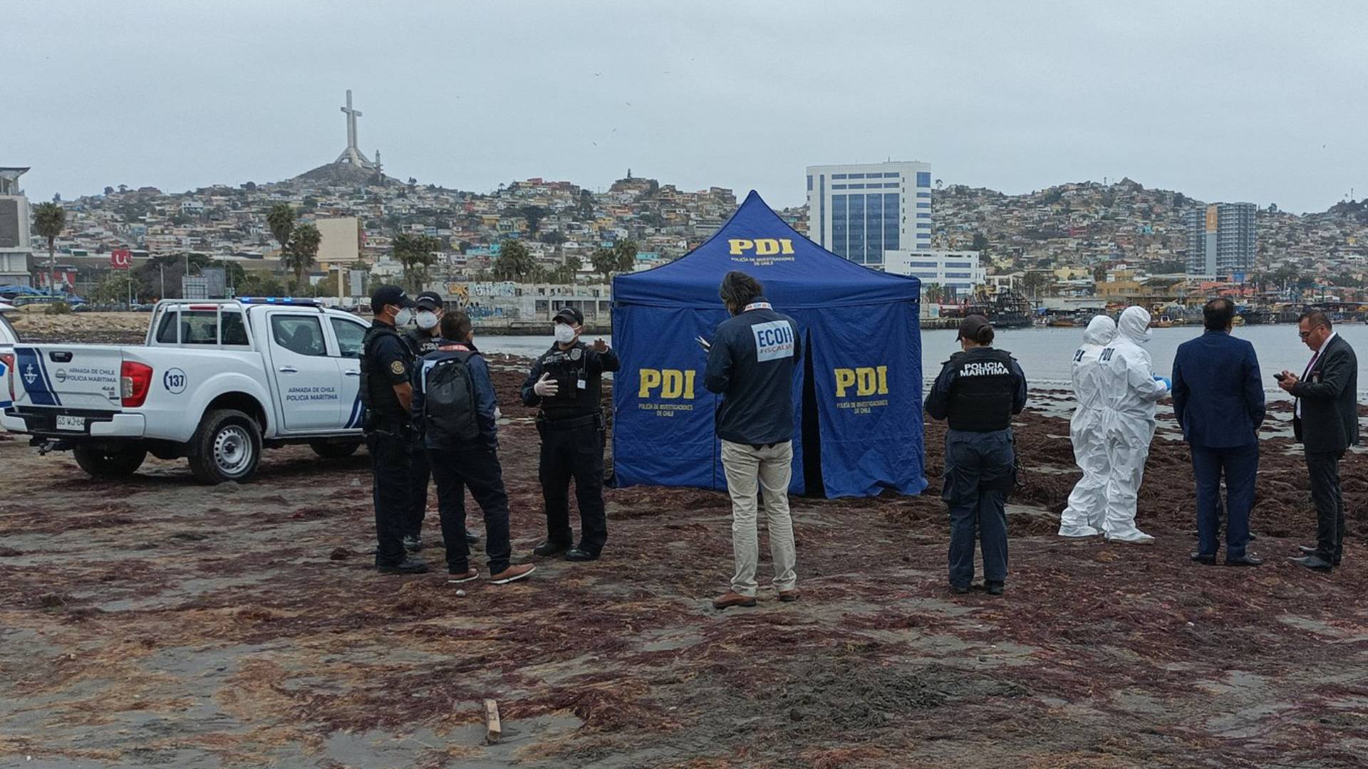 Pormenores Del Crimen Del Hombre Descuartizado En Coquimbo