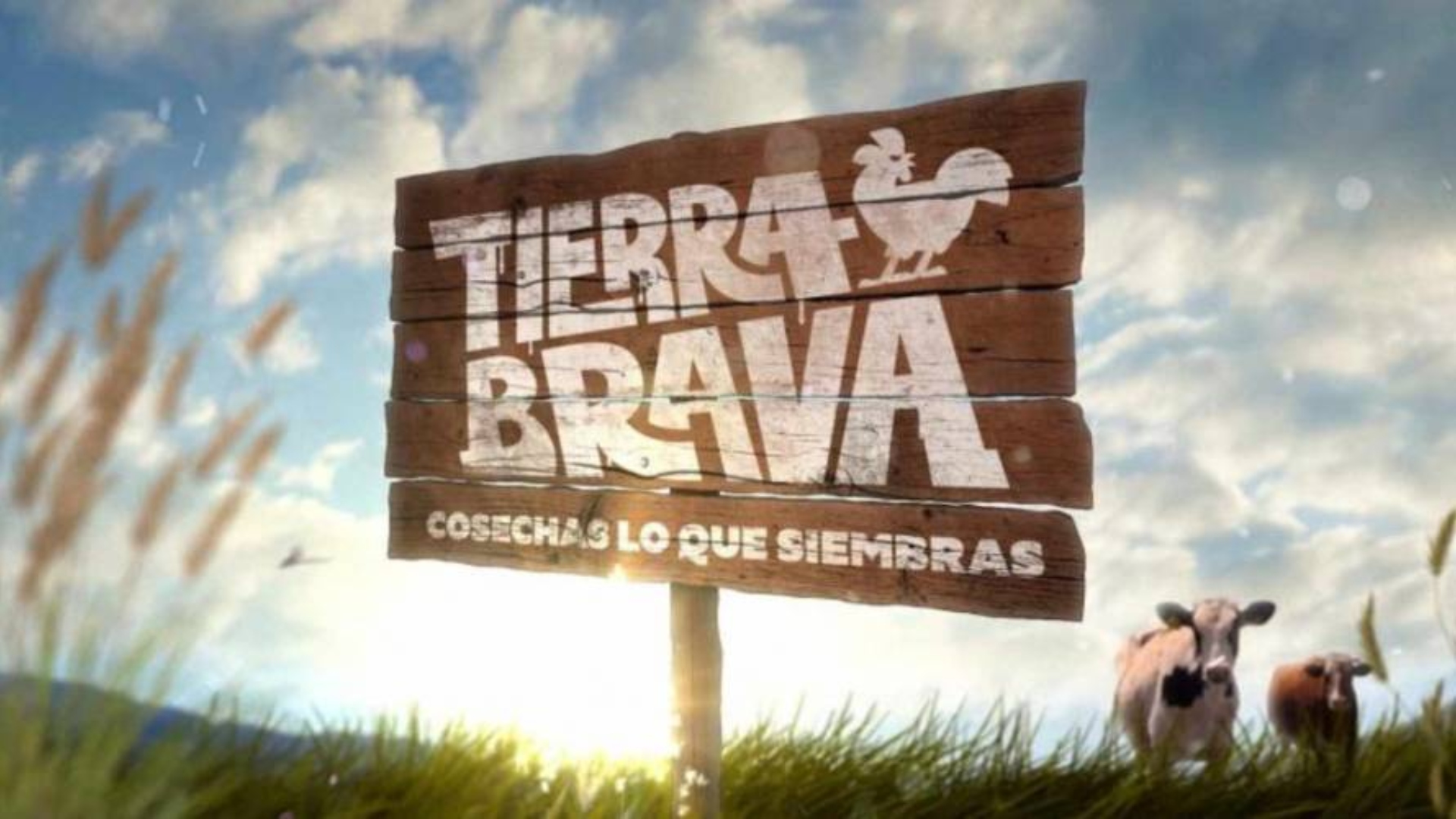 Video Revelan Qui Nes Son Los Semifinalistas De Tierra Brava