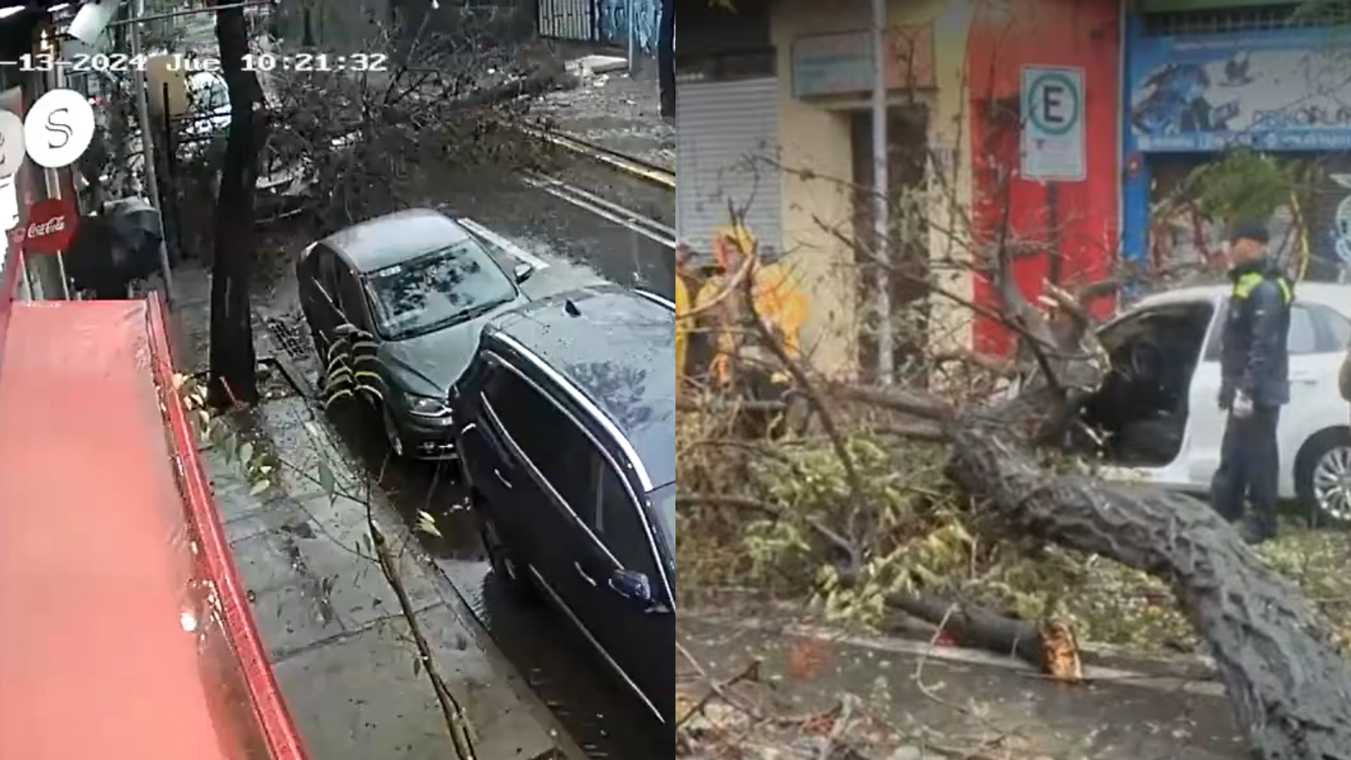 VIDEO Árbol cayó sobre dos turistas italianas que iban a subir a un