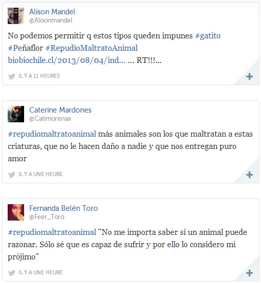 repudio maltrato animal