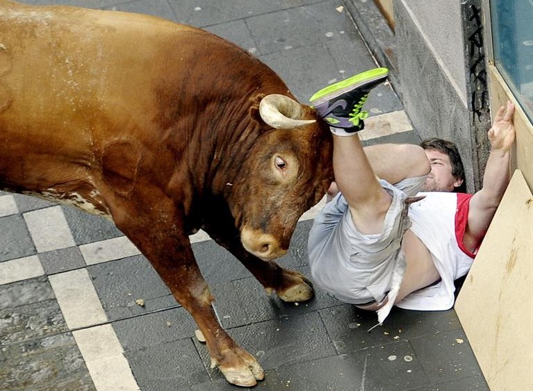 Los toros de Miura cerraron la versión 2014 de los encierros de San Fermín (España)con la carrera más larga y peligrosa de las fiestas, que se saldó con dos heridos por asta/EFE 