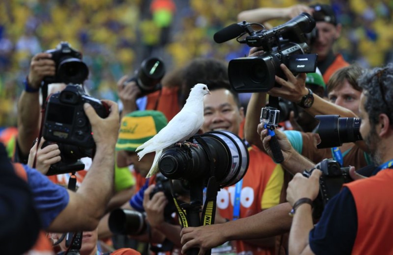 Una de las palomas lanzadas al aire durante la ceremonia de apertura de la Copa del Mundo, se posa en el lente de uno de los fotógrafos antes del partido entre las selecciones de Brasil y Croacia, el 12 de junio de 2014./ElPaís.com