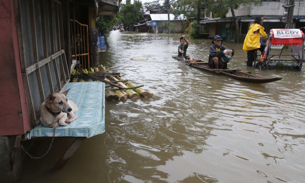 Un perro atado en una tienda cerrada por las inundaciones en la ciudad de Butuan (Filipinas), el 17 de enero de 2014./ElPais.com