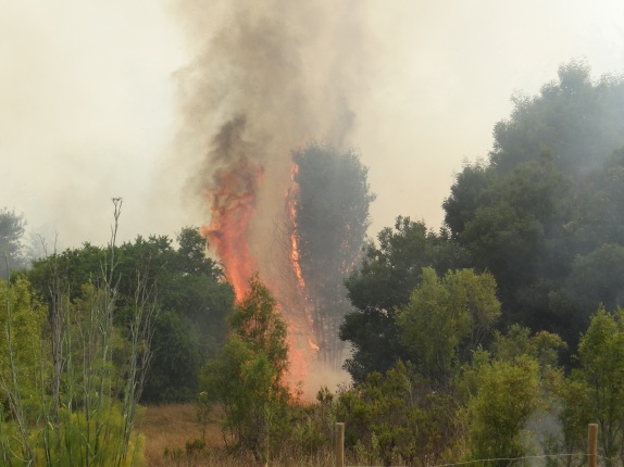 Incendio Fundo Las Tablas 1