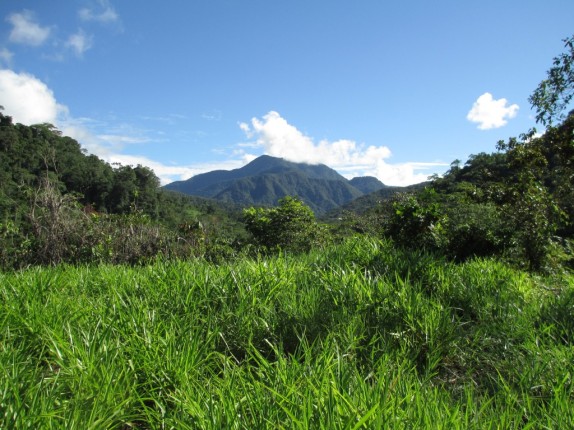 Parque Yanachaga-Chemillén, Perú.