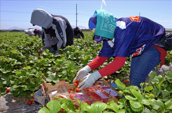 trabajadoras