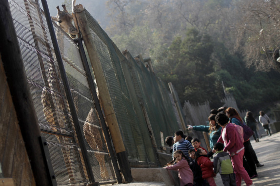 Niños del sename visitan el zoológico del Parque Metropolitano