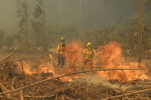 Incendio Forestal Lago Peuela en Valparaiso