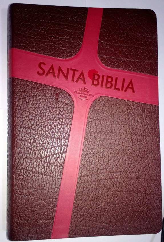 Biblia