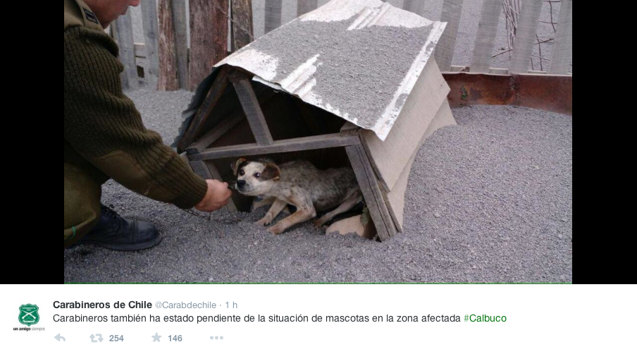 Rescate animal 2