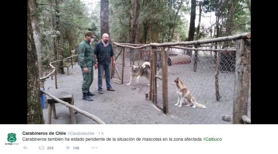 Rescate animal 4