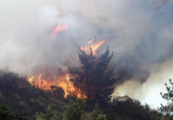 VALPARAISO: Incendio forestal