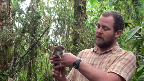 Kevin Rowe, uno de los investigadores, junto al roedor descubierto | YOUTUBE - MUSEO VICTORIA