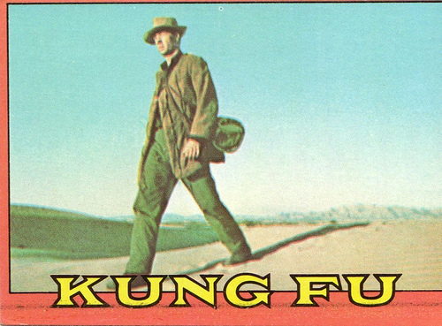 kungfu3tradingcards