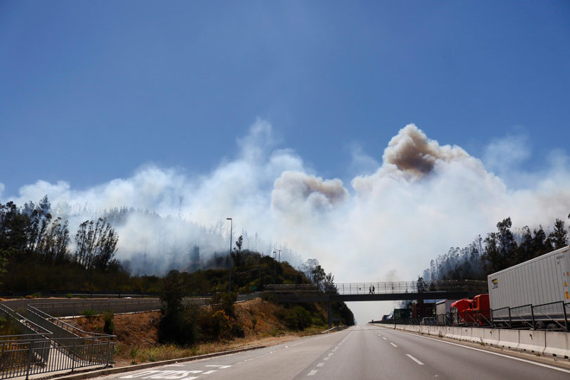 Suspenden Tránsito En Ruta 68 Por Incendio Forestal En