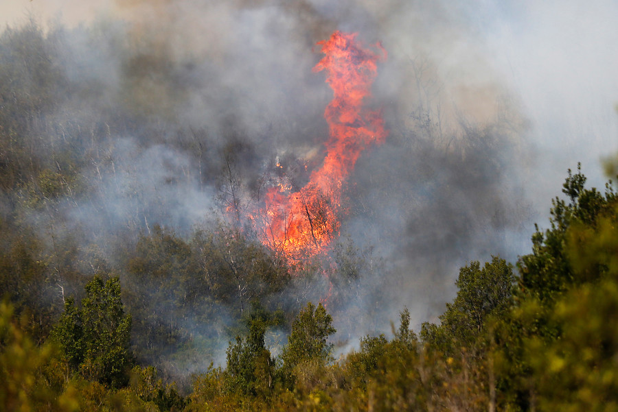 alerta roja Valparaíso