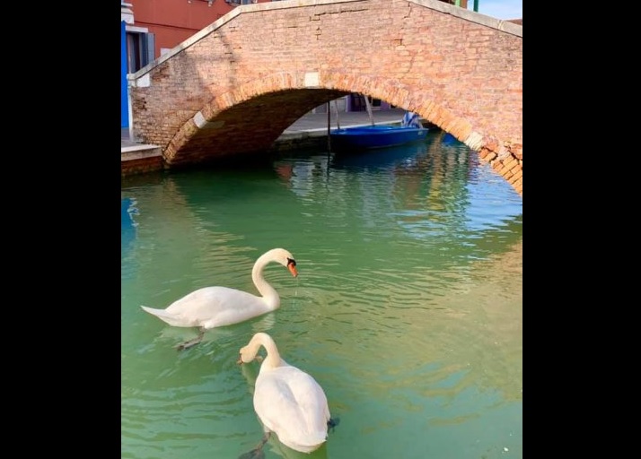 Venecia coronavirus