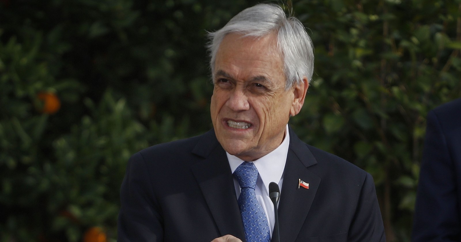 Piñera niña