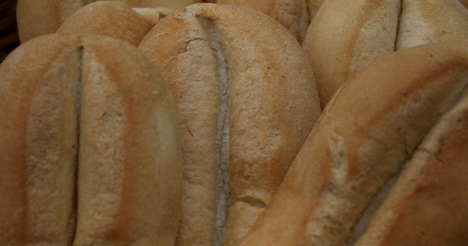 panaderos