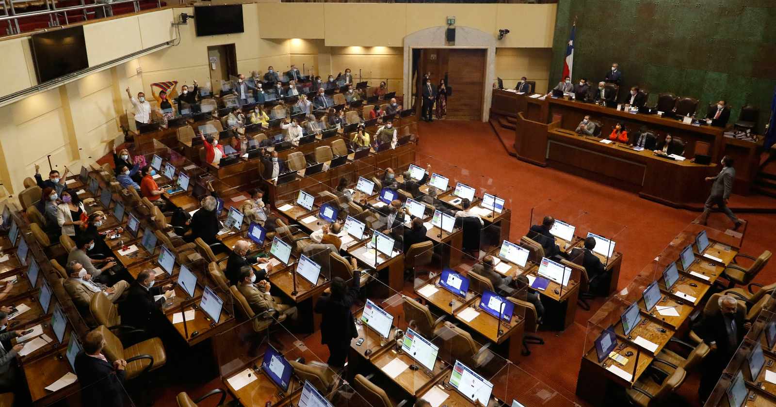 reglamento drogas diputados