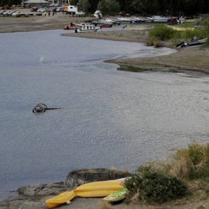 La comisión rechazó la solicitud de comunidades sobre el borde costero de Aysén.