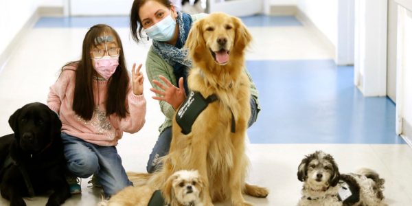 Mascotas pacientes terminales