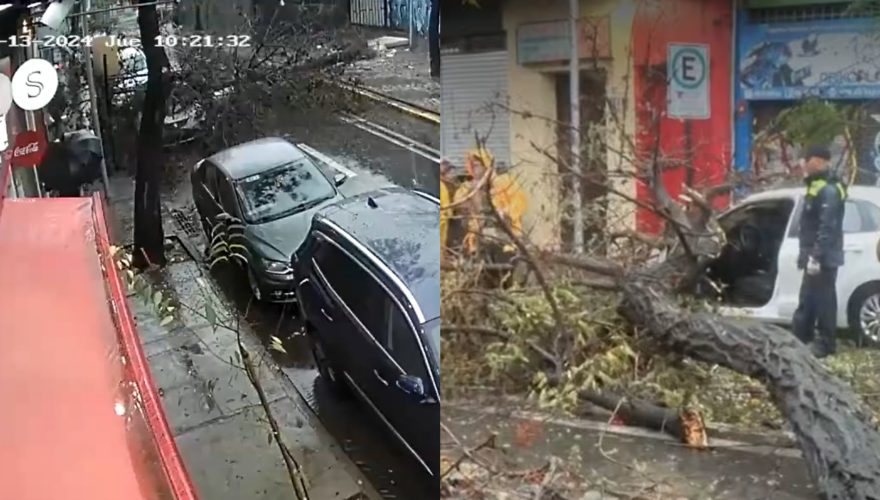 árbol cayó sobre dos mujeres santiago