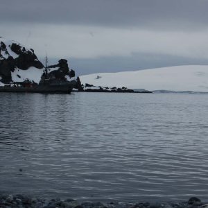 violación Antártica