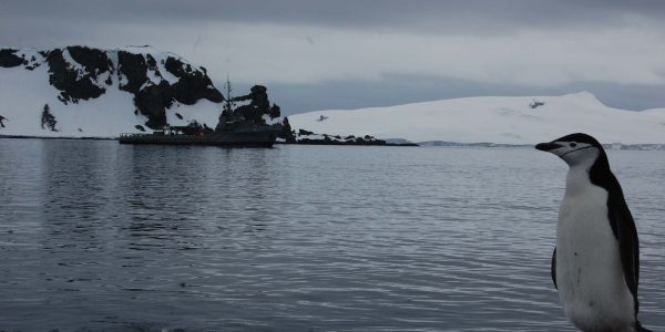 violación Antártica