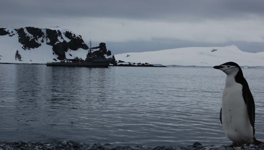 violación Antártica