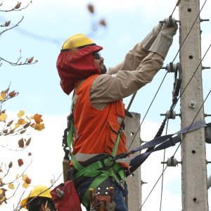 propuesta de empresa estatal eléctrica tras cortes de luz