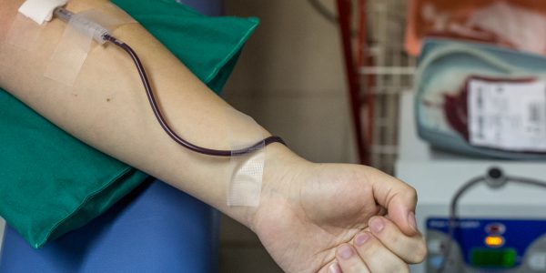 sangre donante donación