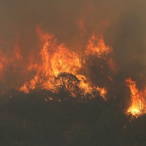 megaincendios