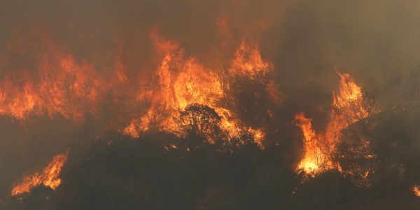 megaincendios