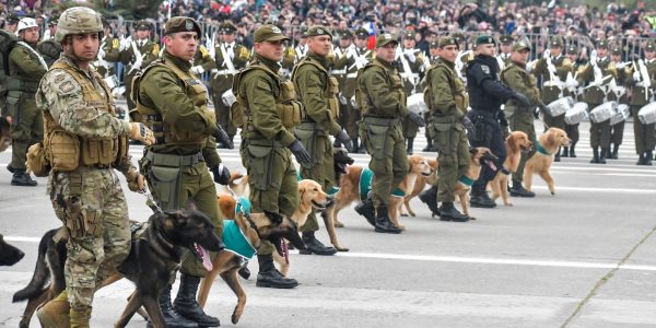 Parada Militar 2024