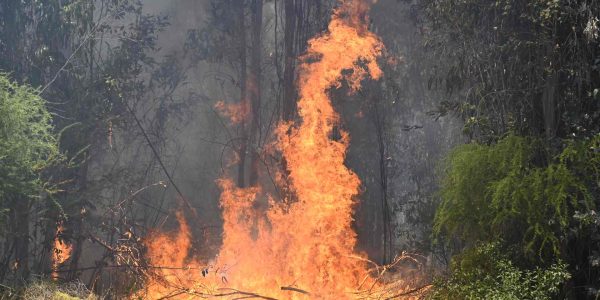 Alerta Roja incendio forestal Quilpué