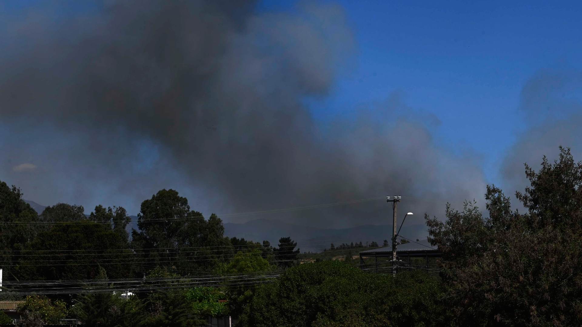 Senapred ordena evacuación de cuatro sectores de la Región de Valparaíso por incendios forestales