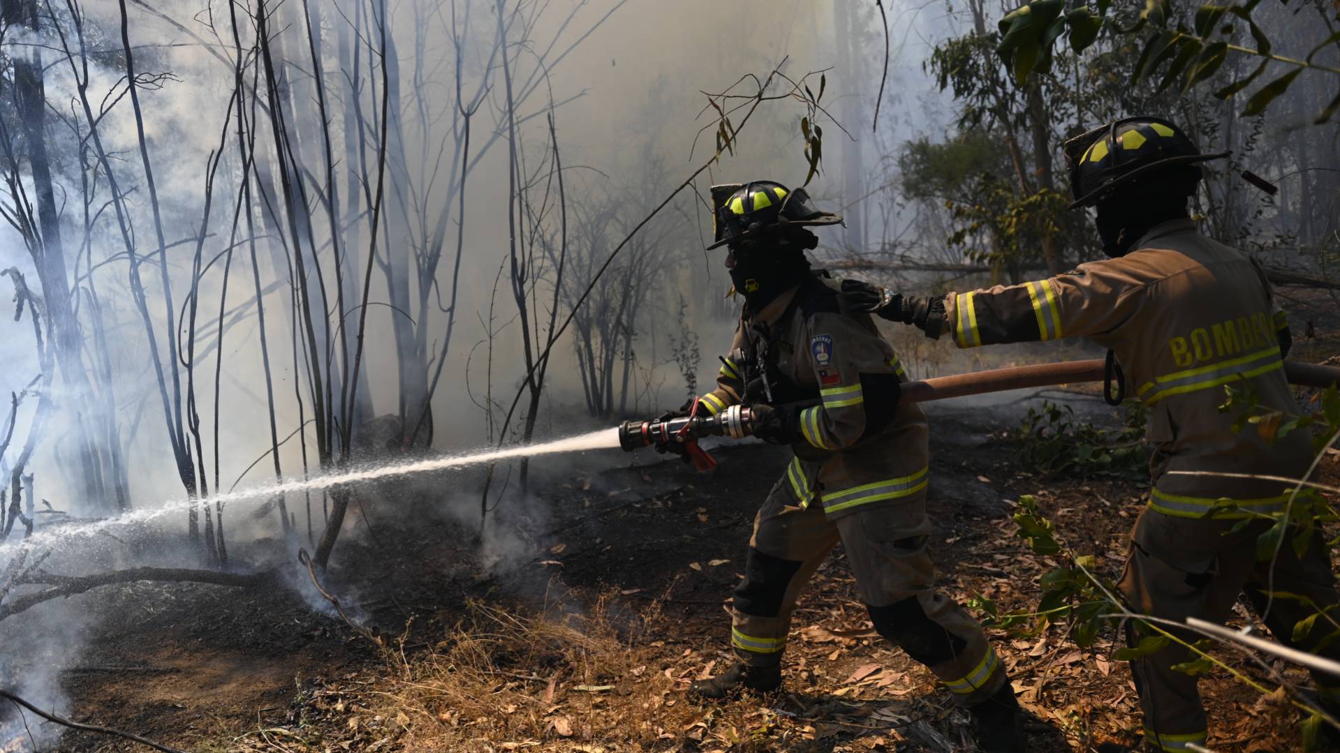 Incendios forestales: las comunas que permanecen con alerta roja en tres regiones del país