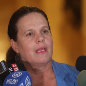 Ministra Maya Fernández fallida compra de casa de Allende